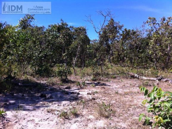 Imagem Chácara à Venda, 9.680.000 m² em Centro - Cavalcante Imagem Chácara à Venda, 9.680.000 m² em Centro - Cavalcante