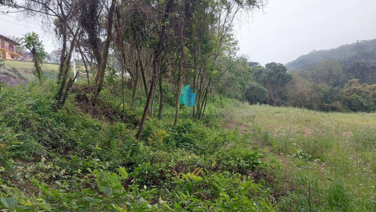 Imagem Terreno à Venda, 10.159 m² em Vale Dos Vinhedos - Bento Gonçalves Imagem Terreno à Venda, 10.159 m² em Vale Dos Vinhedos - Bento Gonçalves