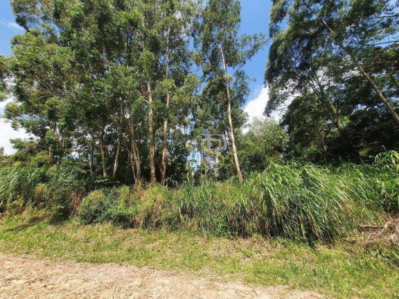 Imagem Terreno à Venda, 1.200 m² em Jundiaizinho - Mairiporã Imagem Terreno à Venda, 1.200 m² em Jundiaizinho - Mairiporã
