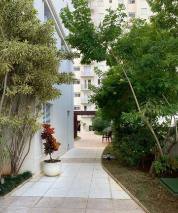 Imagem Apartamento com 3 Quartos à Venda, 65 m² em Vila Alzira - Santo André Imagem Apartamento com 3 Quartos à Venda, 65 m² em Vila Alzira - Santo André