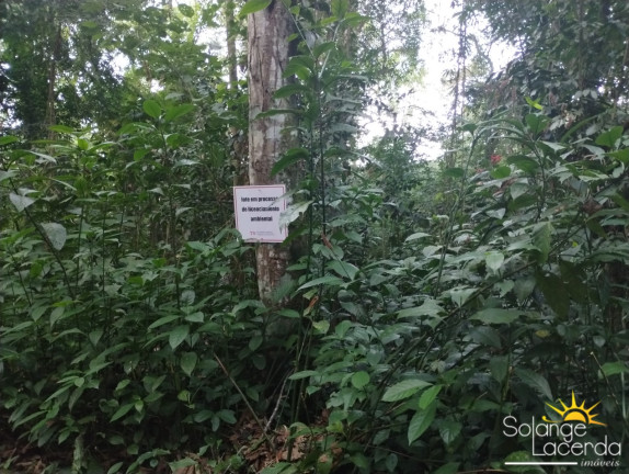 Imagem Terreno à Venda, 1.000 m² em Felix - Ubatuba Imagem Terreno à Venda, 1.000 m² em Felix - Ubatuba