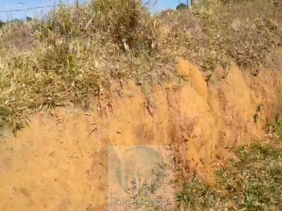 Imagem Imóvel com 4 Quartos à Venda, 540.628 m² em Zona Rural - Biguatinga