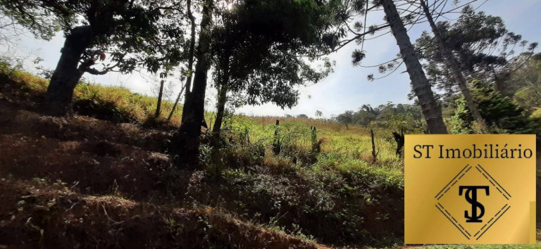 Imagem Chácara com 3 Quartos à Venda, 72.000 m² em Estância Santa Maria Do Portão - Atibaia Imagem Chácara com 3 Quartos à Venda, 72.000 m² em Estância Santa Maria Do Portão - Atibaia