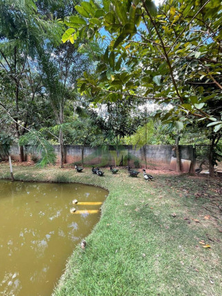 Imagem Chácara com 5 Quartos à Venda, 12.000 m² em Maracana - Jarinu Imagem Chácara com 5 Quartos à Venda, 12.000 m² em Maracana - Jarinu
