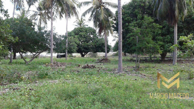 Imagem Terreno à Venda, 247.664 m² em Zona Rural - Beberibe Imagem Terreno à Venda, 247.664 m² em Zona Rural - Beberibe