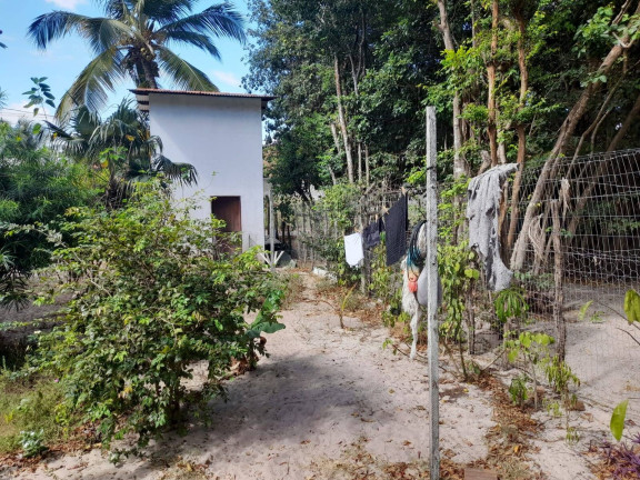 Imagem Terreno à Venda, 1.301 m² em Praia Da Pipa - Tibau Do Sul Imagem Terreno à Venda, 1.301 m² em Praia Da Pipa - Tibau Do Sul