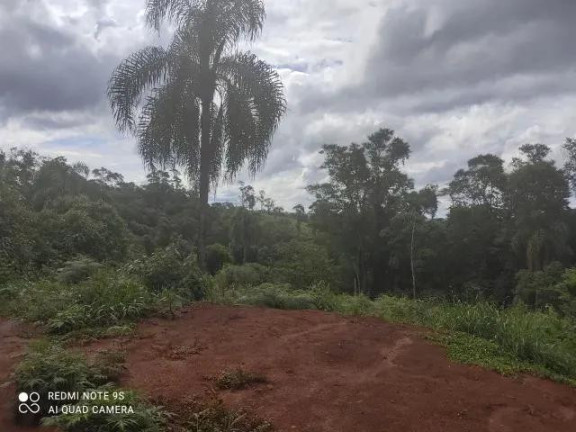 Imagem Imóvel à Venda, 174.240 m² em Sao Silvestre - Campo Largo Imagem Imóvel à Venda, 174.240 m² em Sao Silvestre - Campo Largo