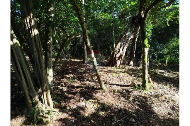 Imagem Terreno à Venda, 600 m² em Praia Do Forte - Mata De São João Imagem Terreno à Venda, 600 m² em Praia Do Forte - Mata De São João