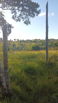 Imagem Chácara à Venda, 2 m² em Tibina - Uruçuca Imagem Chácara à Venda, 2 m² em Tibina - Uruçuca