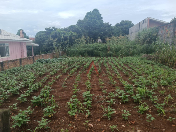 Terreno à Venda,  em Primavera - Guarapuava