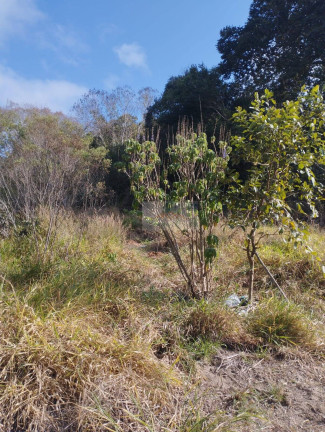 Imagem Chácara com 1 Quarto à Venda, 1 m² em Jardim Cananéia - Pilar Do Sul Imagem Chácara com 1 Quarto à Venda, 1 m² em Jardim Cananéia - Pilar Do Sul
