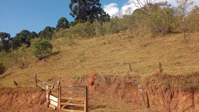 Imagem Chácara com 3 Quartos à Venda, 100 m² em Mato Dentro - Virgínia Imagem Chácara com 3 Quartos à Venda, 100 m² em Mato Dentro - Virgínia