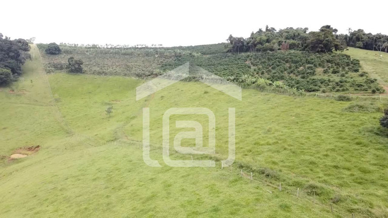 Imagem Imóvel com 4 Quartos à Venda, 120 m² em Santana De Caldas - Caldas