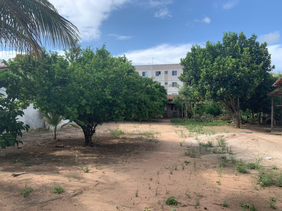 Imagem Terreno à Venda, 3.800 m² em Sim - Feira De Santana Imagem Terreno à Venda, 3.800 m² em Sim - Feira De Santana