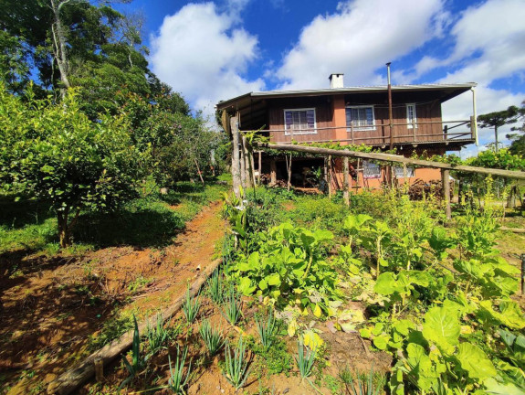 Imagem Chácara à Venda, 1.200 m² em Zona Rural - Tijucas Do Sul Imagem Chácara à Venda, 1.200 m² em Zona Rural - Tijucas Do Sul
