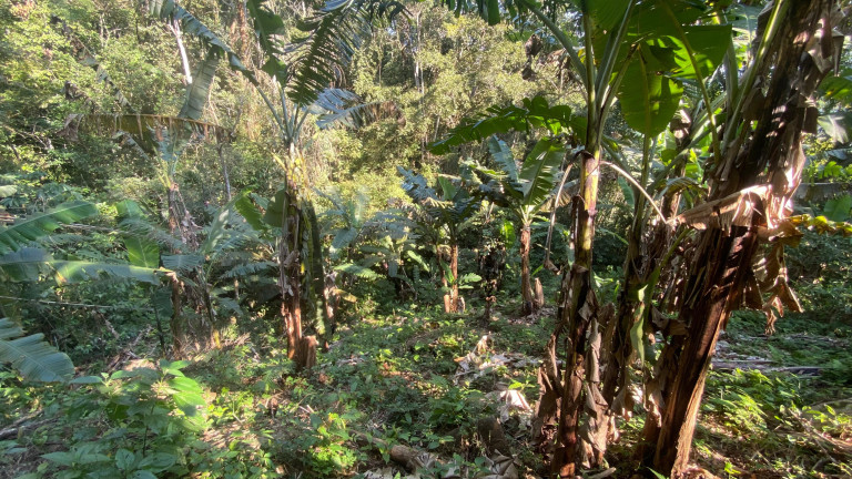 Imagem Terreno à Venda, 172.989 m² em Ressacada - Garopaba Imagem Terreno à Venda, 172.989 m² em Ressacada - Garopaba