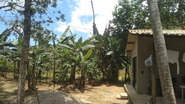 Imagem Chácara com 1 Quarto à Venda, 1.000 m² em Praia Da Maranduba - Ubatuba