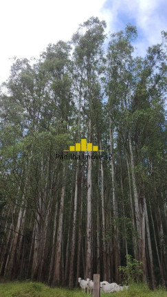Imagem Fazenda à Venda, 241 m² em Guaratinguetá Imagem Fazenda à Venda, 241 m² em Guaratinguetá