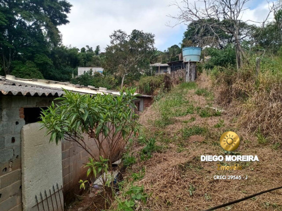 Imagem Chácara com 5 Quartos à Venda, 1.000 m² em Terra Preta - Mairiporã Imagem Chácara com 5 Quartos à Venda, 1.000 m² em Terra Preta - Mairiporã