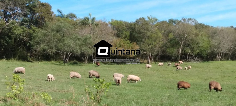 Imagem Imóvel com 1 Quarto à Venda, 90.000 m² em Fragata - Pelotas