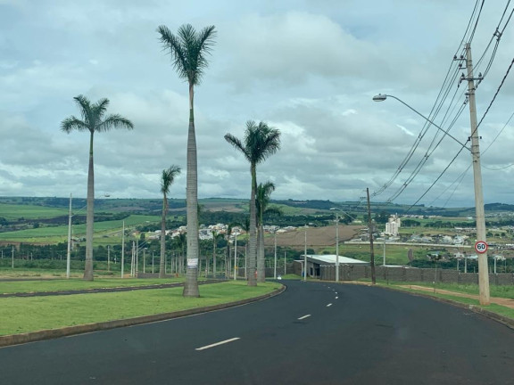 Imagem Terreno à Venda, 267 m² em Quinta Da Primavera - Ribeirão Preto Imagem Terreno à Venda, 267 m² em Quinta Da Primavera - Ribeirão Preto
