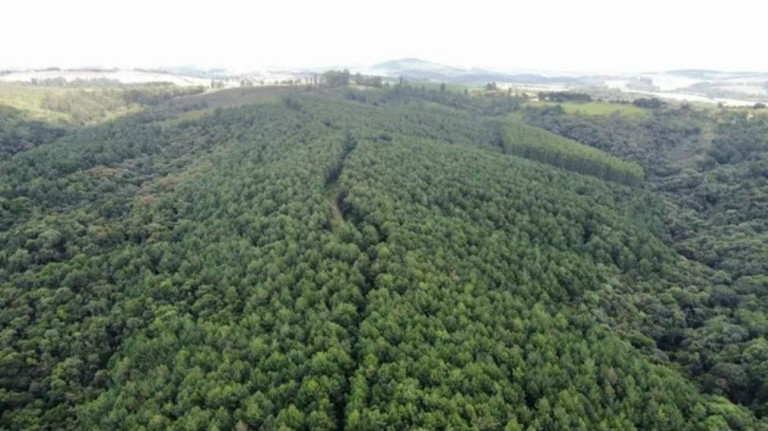 Imagem Fazenda à Venda,  em Residencial Impacel Ii - Arapoti