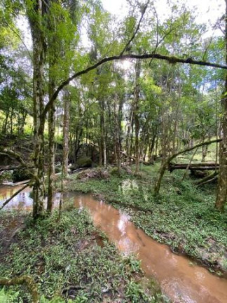 Imagem Imóvel com 3 Quartos à Venda, 29.400 m² em Espigão Das Antas - Mandirituba