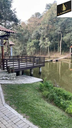 Imagem Imóvel com 3 Quartos à Venda, 20.000 m² em Rocha Velha - Araucária
