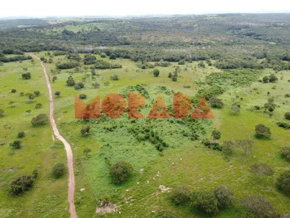 Imagem Fazenda à Venda, 10 m² em Zona Rural - Mundo Novo Imagem Fazenda à Venda, 10 m² em Zona Rural - Mundo Novo