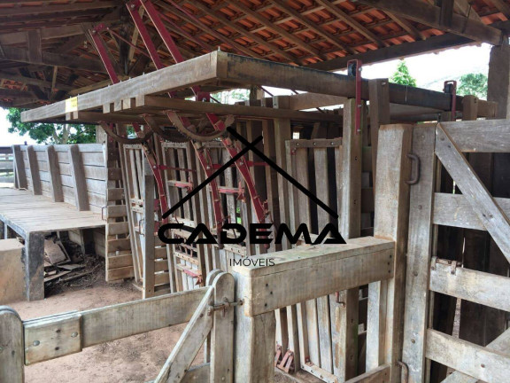 Imagem Fazenda à Venda, 90 m² em Zona Rural - Socorro Imagem Fazenda à Venda, 90 m² em Zona Rural - Socorro