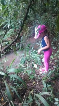 Imagem Terreno à Venda, em Centro - Contenda Imagem Terreno à Venda, em Centro - Contenda