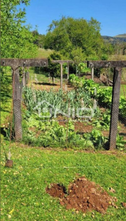 Imagem Fazenda à Venda, em Comunidade Interior - Mariópolis Imagem Fazenda à Venda, em Comunidade Interior - Mariópolis