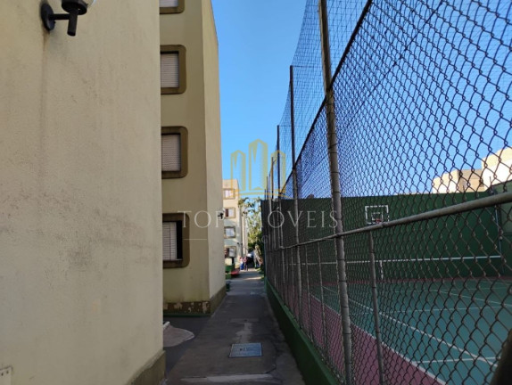 Imagem Apartamento com 2 Quartos à Venda, 50 m² em Jardim Satélite - São José Dos Campos Imagem Apartamento com 2 Quartos à Venda, 50 m² em Jardim Satélite - São José Dos Campos