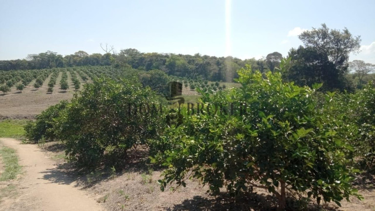 Imagem Fazenda à Venda, 555.000 m² em Sao Vicente - Araruama Imagem Fazenda à Venda, 555.000 m² em Sao Vicente - Araruama