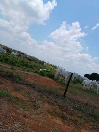 Imagem Imóvel com 3 Quartos à Venda, 150 m² em Zona Rural - Nova Mutum Imagem Imóvel com 3 Quartos à Venda, 150 m² em Zona Rural - Nova Mutum