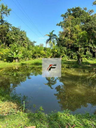 Imagem Chácara com 3 Quartos à Venda, 120.000 m² em Centro - Morretes