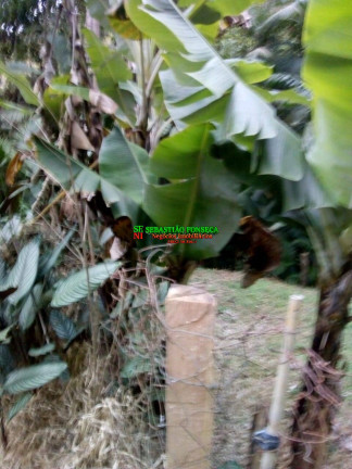 Imagem Chácara à Venda, 2.000 m² em Sob. Consulta - São José Dos Campos Imagem Chácara à Venda, 2.000 m² em Sob. Consulta - São José Dos Campos