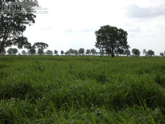 Imagem Chácara à Venda, 830.000.000 m² em Rural - São Félix Do Araguaia Imagem Chácara à Venda, 830.000.000 m² em Rural - São Félix Do Araguaia