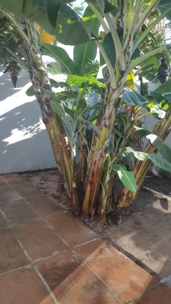 Imagem Casa com 2 Quartos à Venda, 150 m² em Nova Tramandaí - Tramandaí