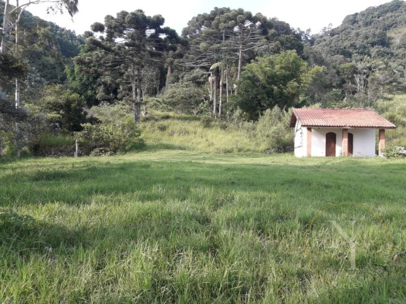 Imagem Imóvel com 3 Quartos à Venda, 500 m² em Centro - Joanópolis Imagem Imóvel com 3 Quartos à Venda, 500 m² em Centro - Joanópolis