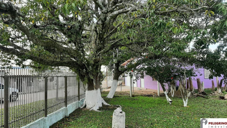 Imagem Casa com 2 Quartos à Venda, 301 m² em Zona Rural - Sentinela Do Sul Imagem Casa com 2 Quartos à Venda, 301 m² em Zona Rural - Sentinela Do Sul