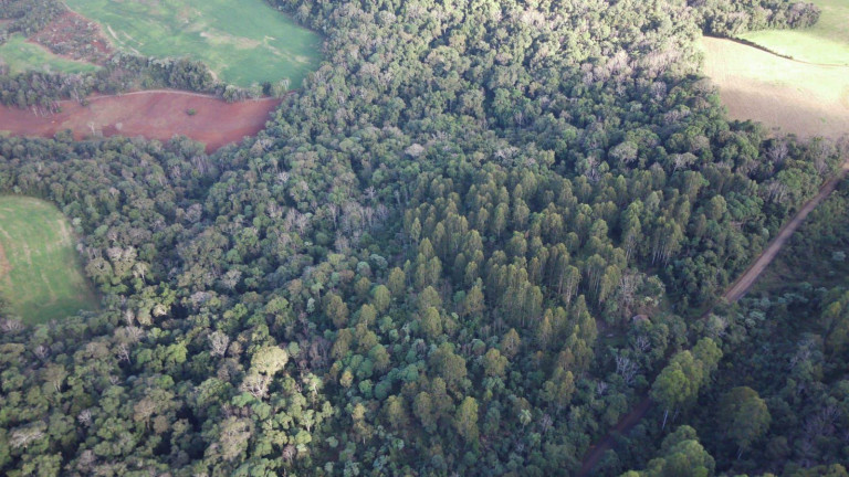 Imagem Terreno à Venda, 49.381 m² em Interior - Concórdia Imagem Terreno à Venda, 49.381 m² em Interior - Concórdia