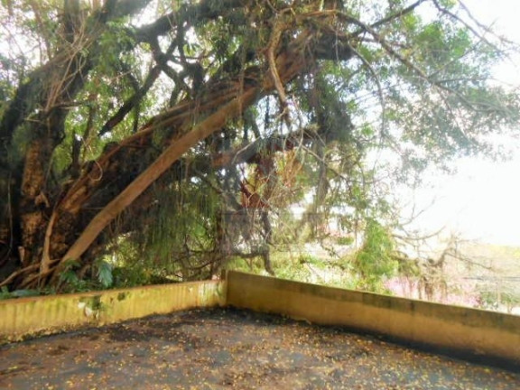 Casa com 3 Quartos à Venda, 380 m² em Menino Deus - Porto Alegre