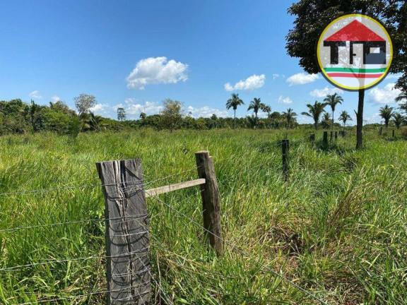 Imagem Chácara à Venda, 145.200 m² em Zona Rural - Marabá Imagem Chácara à Venda, 145.200 m² em Zona Rural - Marabá