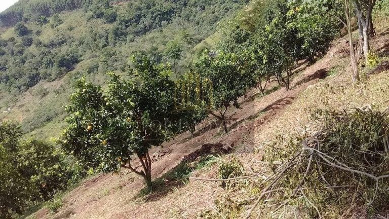 Imagem Fazenda à Venda, 44.000 m² em Zona Rural - Monteiro Lobato Imagem Fazenda à Venda, 44.000 m² em Zona Rural - Monteiro Lobato
