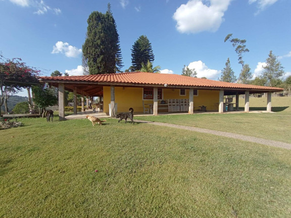 Imagem Chácara com 4 Quartos à Venda, 12.000 m² em Ortizes - Piedade