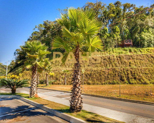 Imagem Terreno à Venda, 296 m² em Itinga - Araquari Imagem Terreno à Venda, 296 m² em Itinga - Araquari