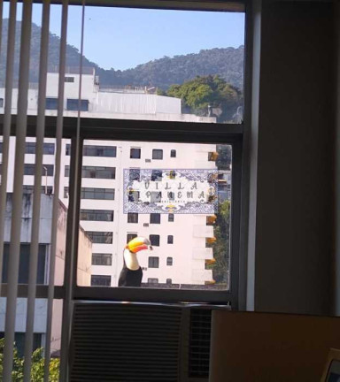 Imagem Apartamento com 4 Quartos à Venda, 170 m² em Tijuca - Rio De Janeiro Imagem Apartamento com 4 Quartos à Venda, 170 m² em Tijuca - Rio De Janeiro
