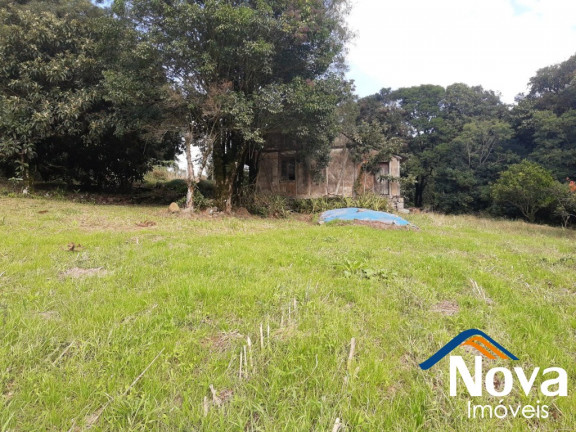 Imagem Imóvel à Venda, 120.000 m² em Linha Pirajá Baixa - Nova Petrópolis Imagem Imóvel à Venda, 120.000 m² em Linha Pirajá Baixa - Nova Petrópolis