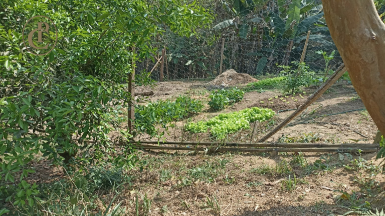 Imagem Chácara com 4 Quartos à Venda, 800 m² em Cedro - Paraibuna Imagem Chácara com 4 Quartos à Venda, 800 m² em Cedro - Paraibuna